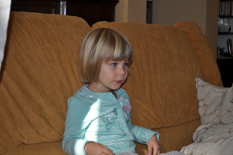 novembre.JPG - 11 novembre