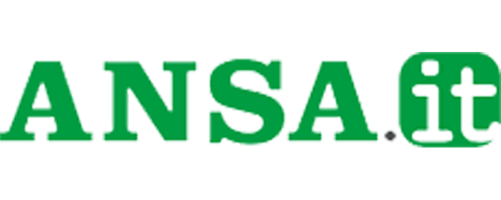 ansa